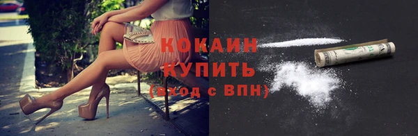 ешки Белокуриха