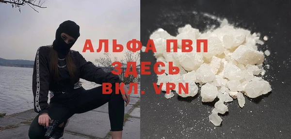 ешки Белокуриха