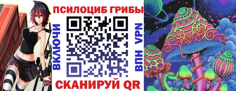 Псилоцибиновые грибы Psilocybe  Сердобск 
